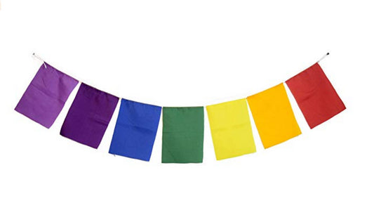 Blank Prayer Flags Set of 10 Flags Put Your own Prayers (Seven Chakra)